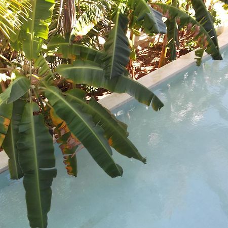 Bed and Breakfast Kobe House Jambiani  Exterior foto